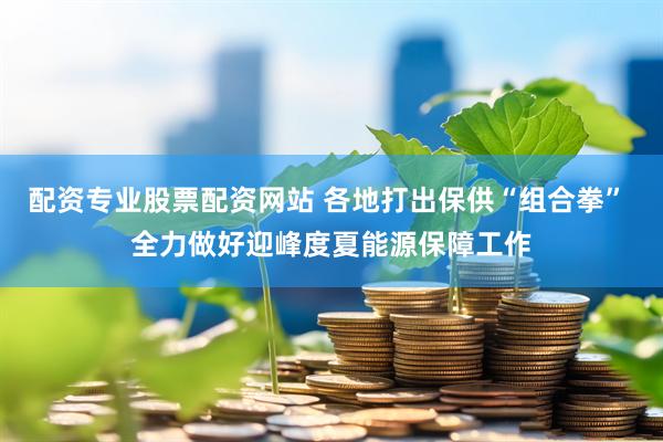 配资专业股票配资网站 各地打出保供“组合拳” 全力做好迎峰度夏能源保障工作
