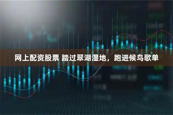 网上配资股票 踏过翠湖湿地，跑进候鸟歌单
